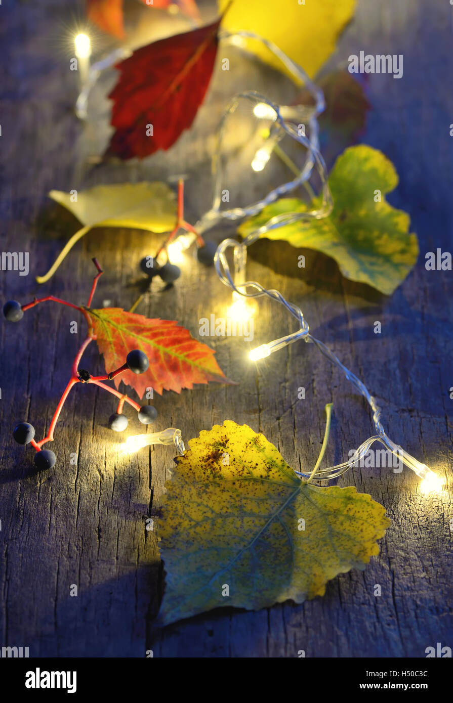 Foglie di autunno sulla tavola di legno e le luci di Natale incandescente Foto Stock