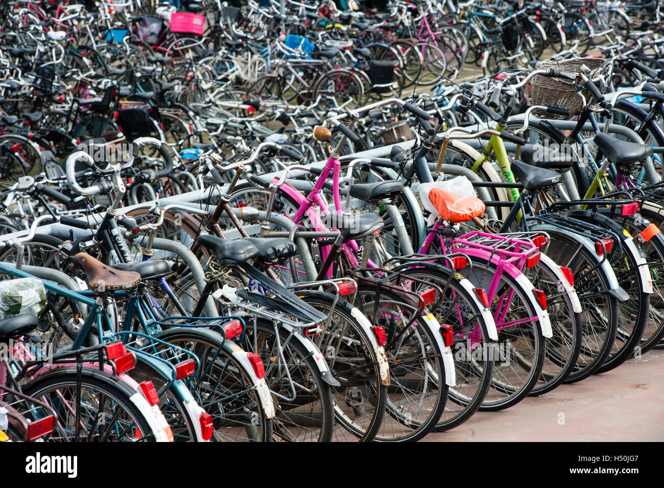 Dettaglio di molte biciclette in Amsterdam Paesi Bassi Foto Stock