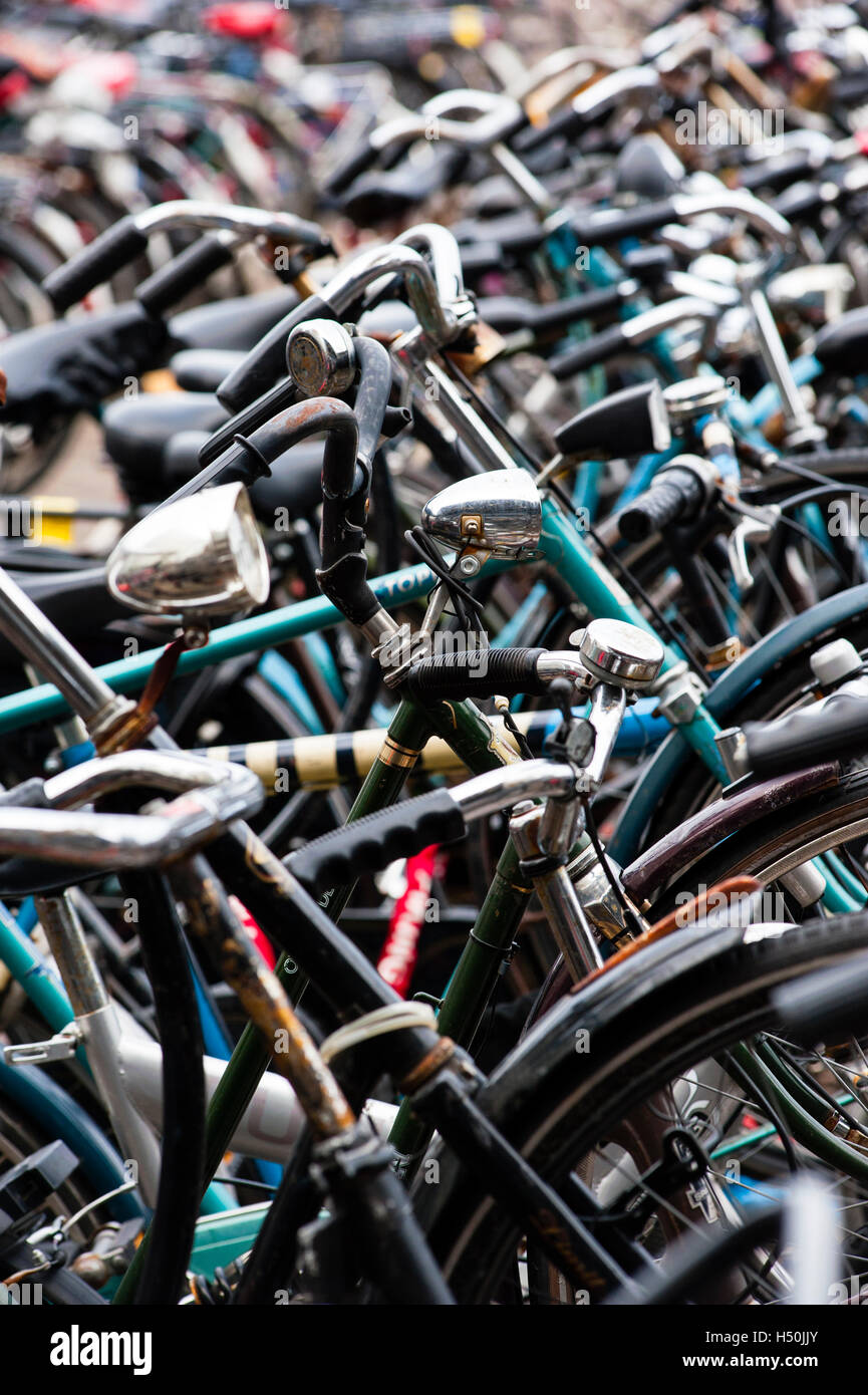 Dettaglio di molte biciclette in Amsterdam Paesi Bassi Foto Stock
