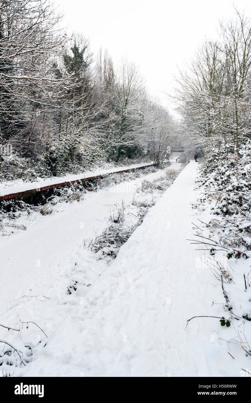 Piattaforma di Crouch in disuso stazione finale sul Parco a piedi, una riserva naturale a nord di Londra, Regno Unito Foto Stock