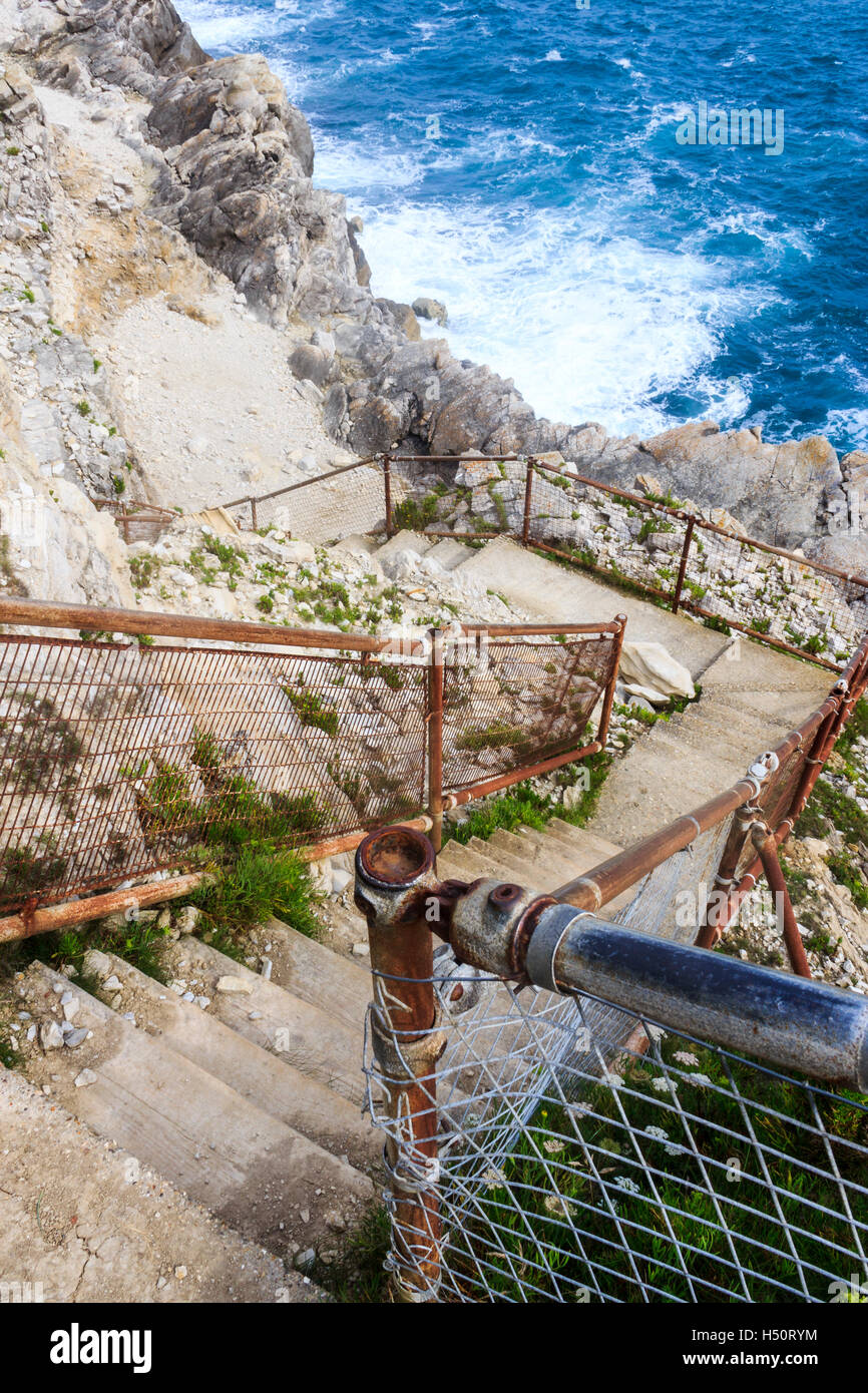 La scoscesa scogliera-lato passi giù per la foresta fossile, i resti di una foresta sommersa dall'era giurassica, Dorset, England, Regno Unito Foto Stock