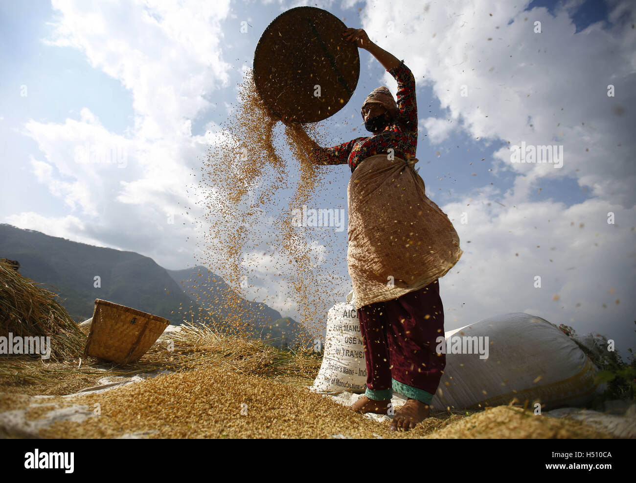 Lalitpur, Nepal. Xviii oct, 2016. Un contadino Nepalese winnows grana di riso durante la stagione del raccolto nel villaggio Khokana. In Nepal, l'economia è dominata dall'agricoltura. © Skanda Gautam/ZUMA filo/Alamy Live News Foto Stock