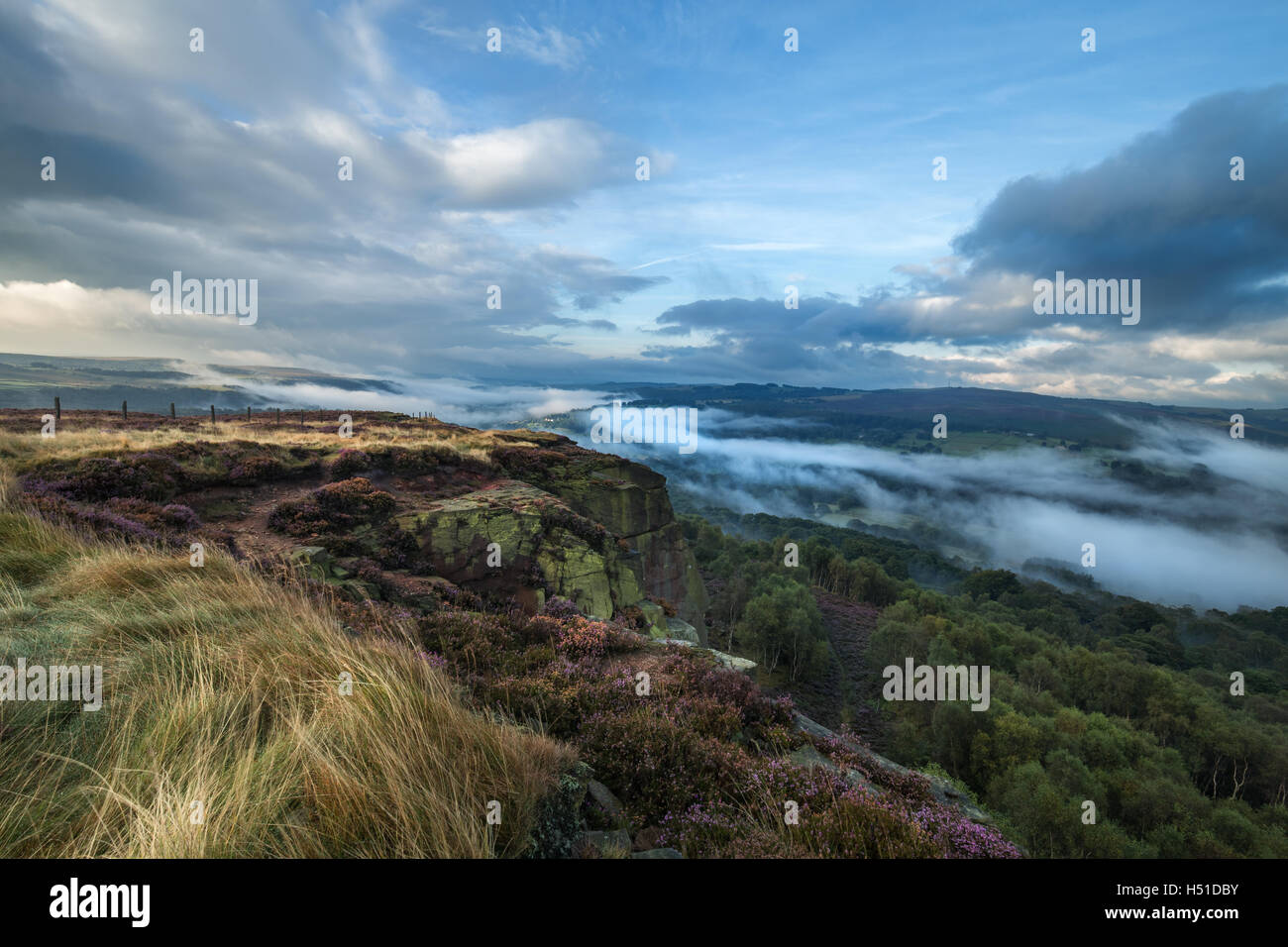 Vista panoramica delle colline coperte di fiori di erica e la nebbia di mattina Foto Stock