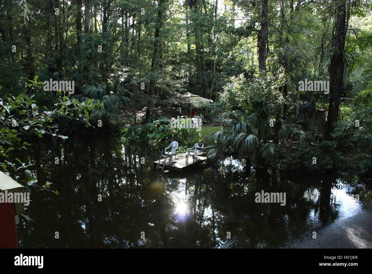Lago di lussureggianti entro una palude foresta pluviale / sedie treehouses bellissima vegetazione, swing corda e la riflessione degli alberi Foto Stock