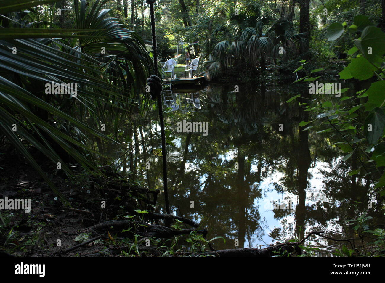 Lago di lussureggianti entro una palude foresta pluviale / sedie treehouses bellissima vegetazione, swing corda e la riflessione degli alberi Foto Stock