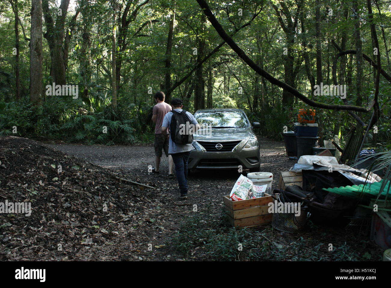 Palude Foresta pluviale / in Florida splendido verde auto alberi e piante 2 persone camminare attraverso la foresta Foto Stock