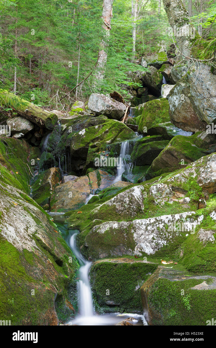 Fleming Flume sulla testa di elefante Brook in Carroll, New Hampshire durante i mesi estivi. Foto Stock