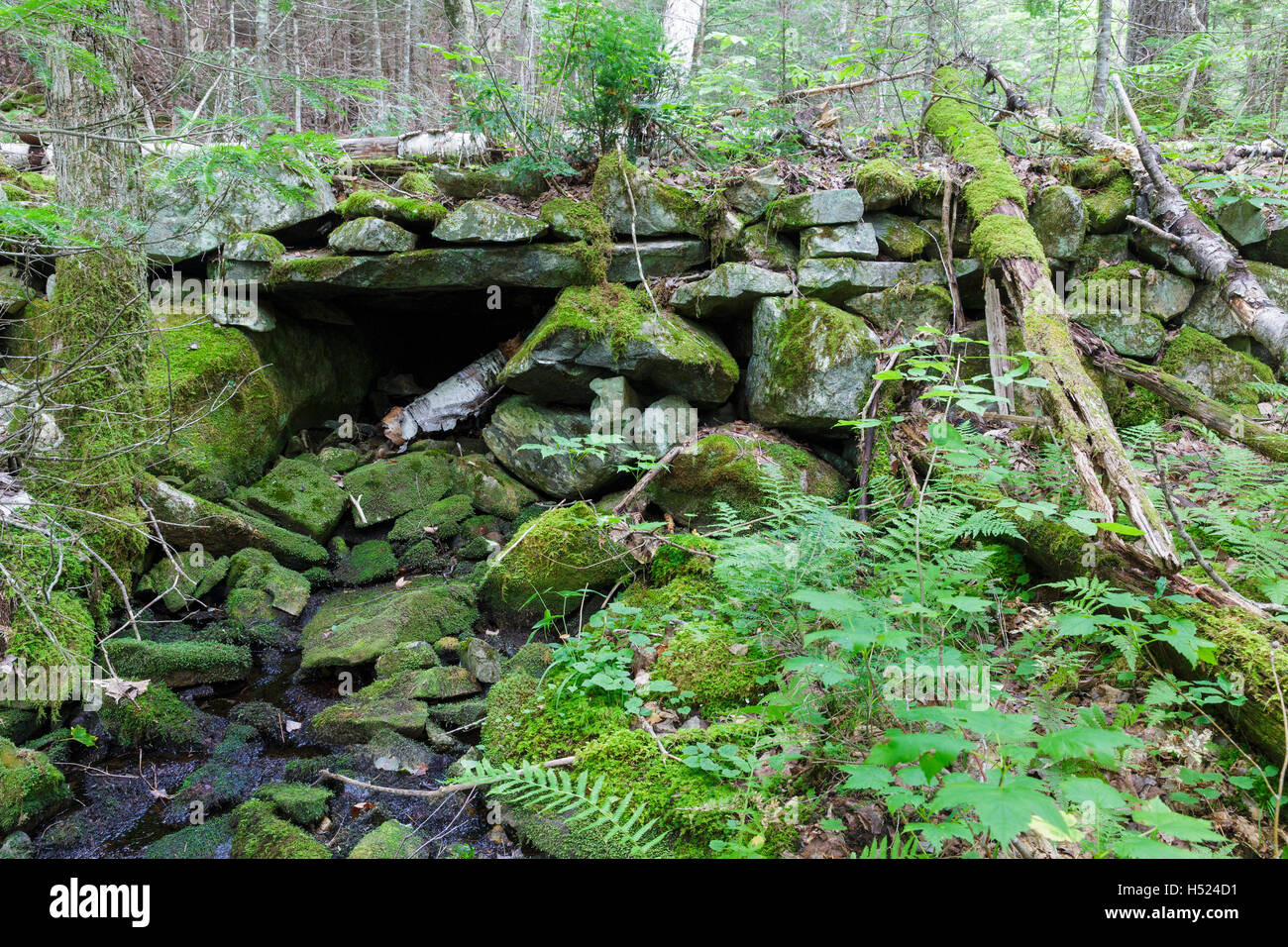 I resti di un ponte di pietra lungo una strada abbandonata off ciottoli sentiero in salita in Landaff, New Hampshire. Foto Stock