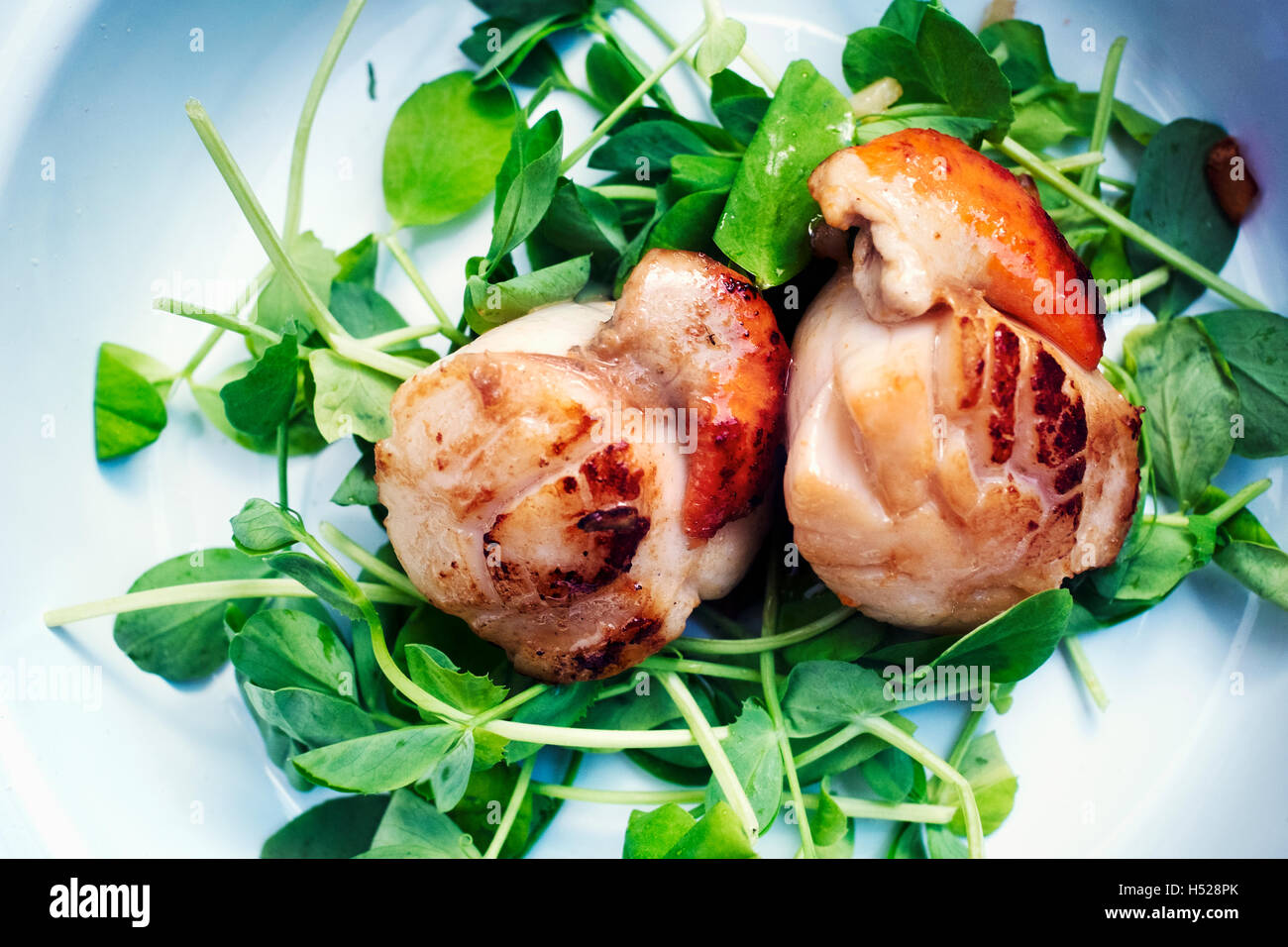 In prossimità di una piastra con capesante fritte e erbe aromatiche fresche. Foto Stock