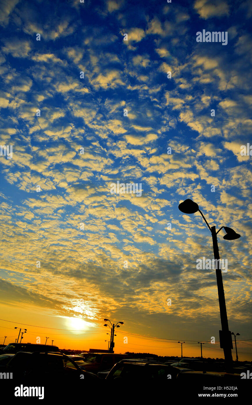 Dire ciao al mondo Foto Stock