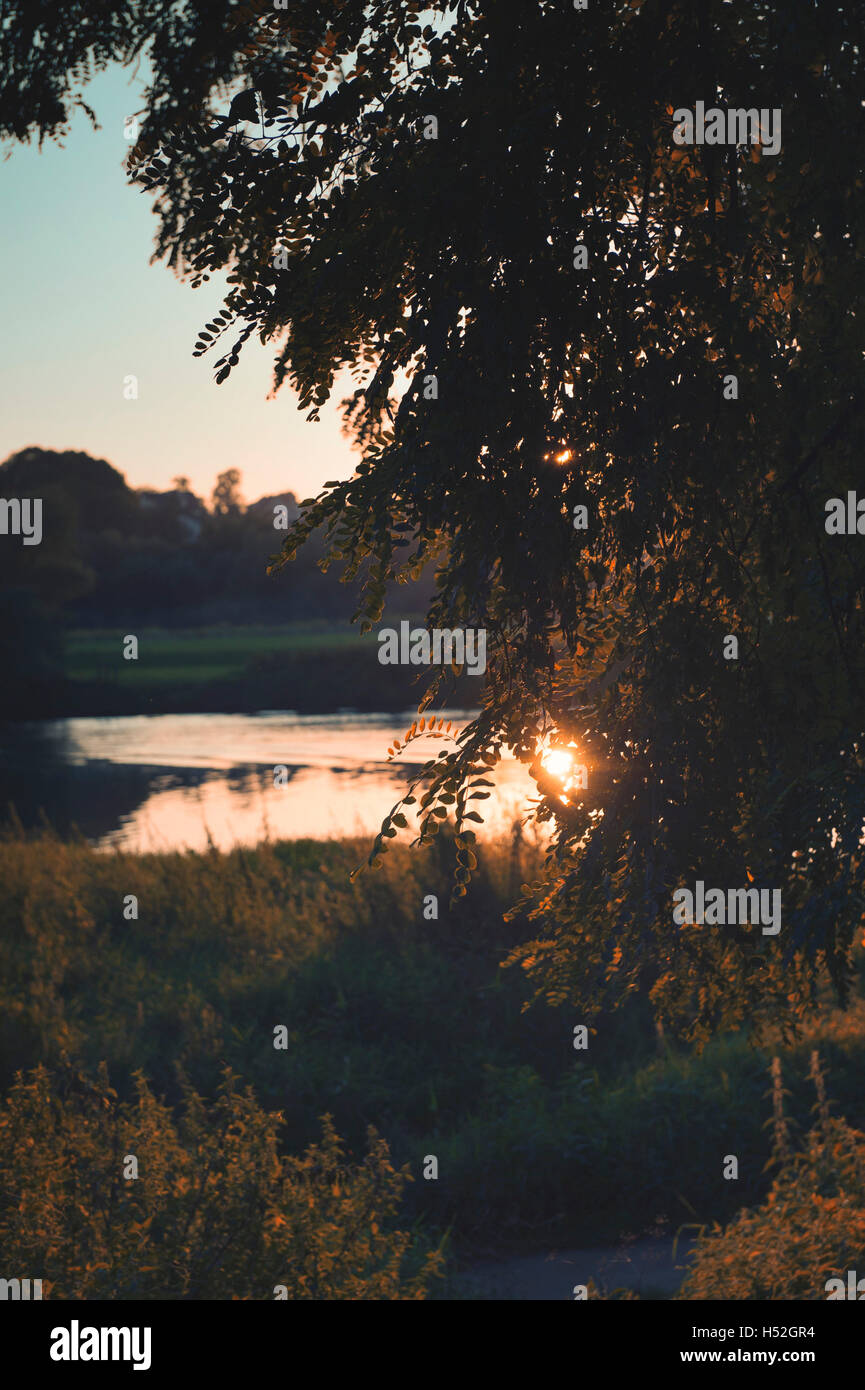 Sky ,paesaggio ,tramonto, acqua, fiume, sun ,tree ,sera, legno Foto Stock