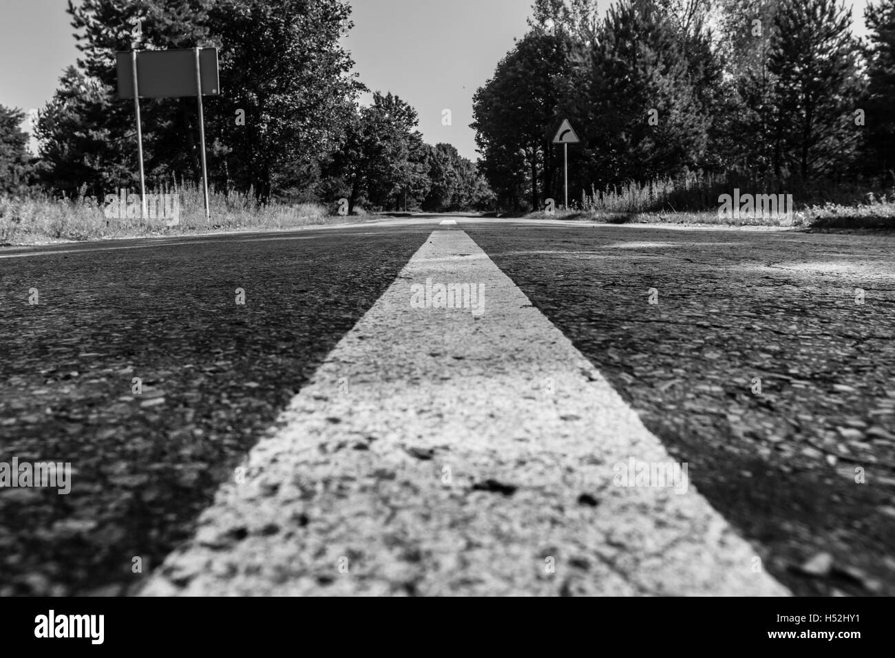 Strada nella foresta. in bianco e nero Foto Stock