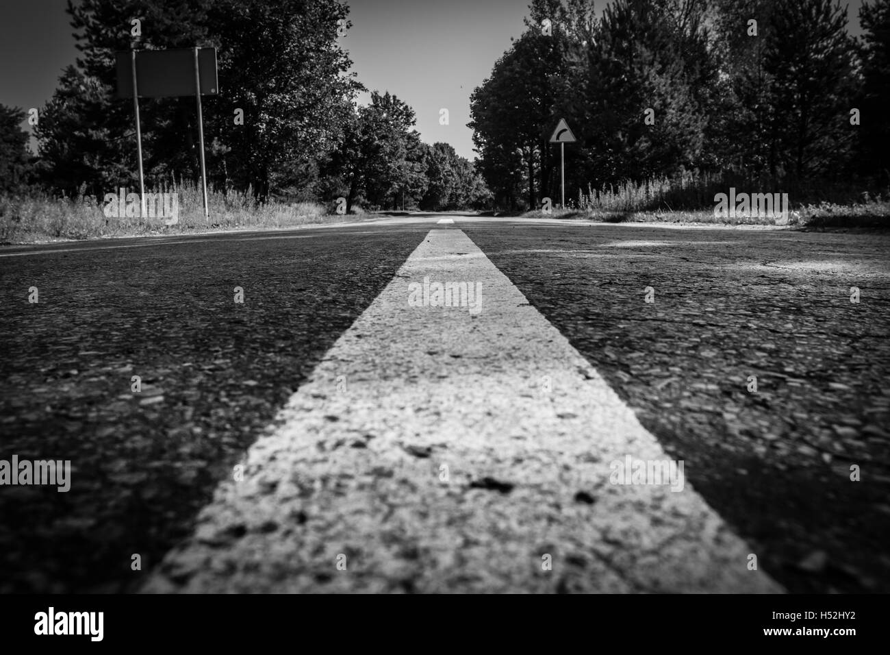 Strada nella foresta. in bianco e nero con vignette Foto Stock