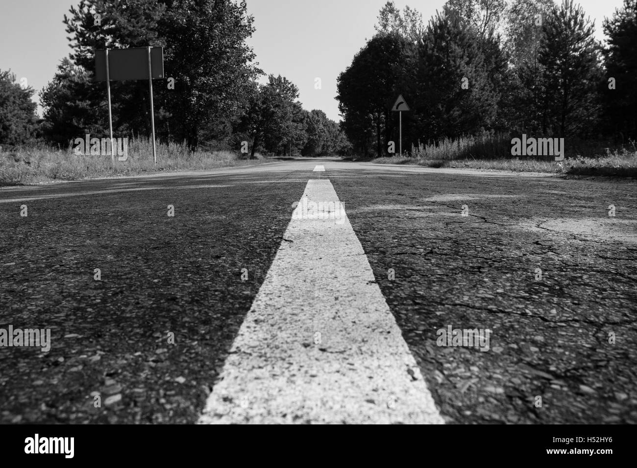 Strada nella foresta. in bianco e nero Foto Stock