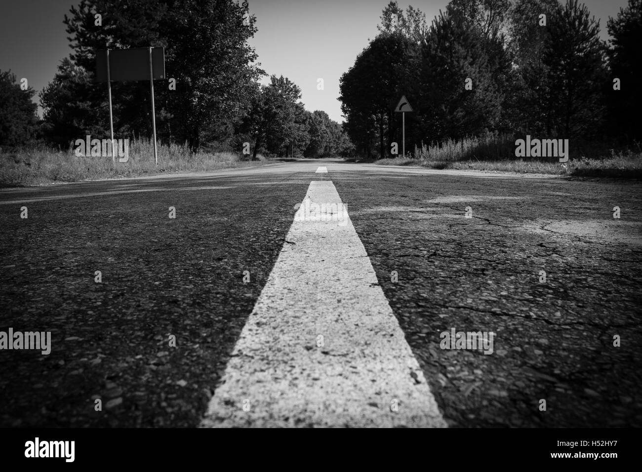 Strada nella foresta. in bianco e nero con vignette Foto Stock