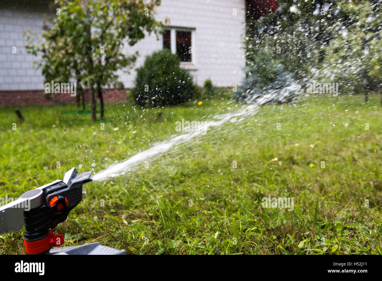 Gocce d'acqua dagli sprinkler Foto Stock