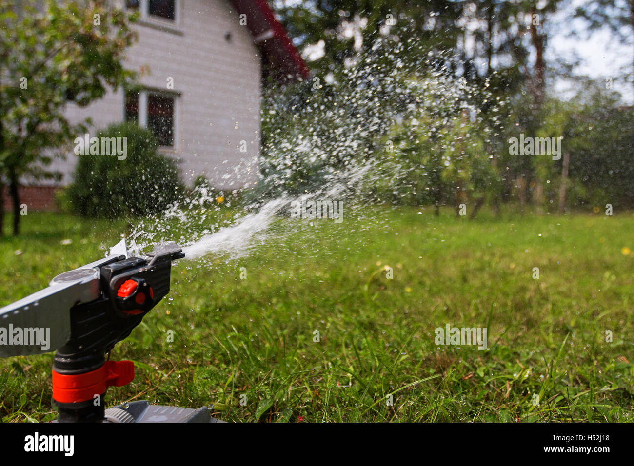 Gocce d'acqua dagli sprinkler Foto Stock