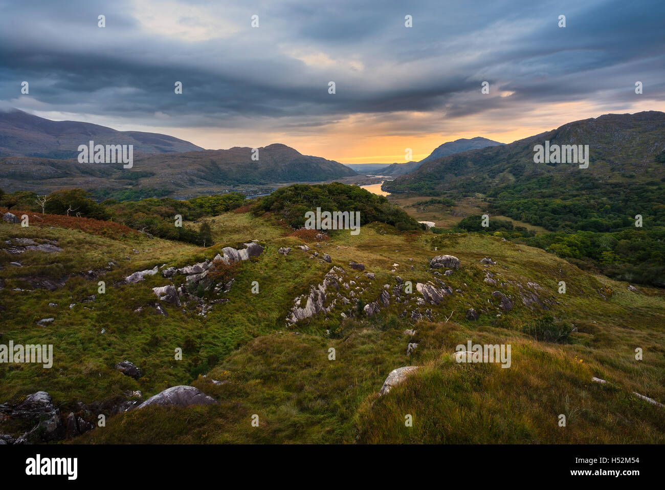 Alba alla signora vista in Killarney, Co.Kerry - Irlanda Foto Stock