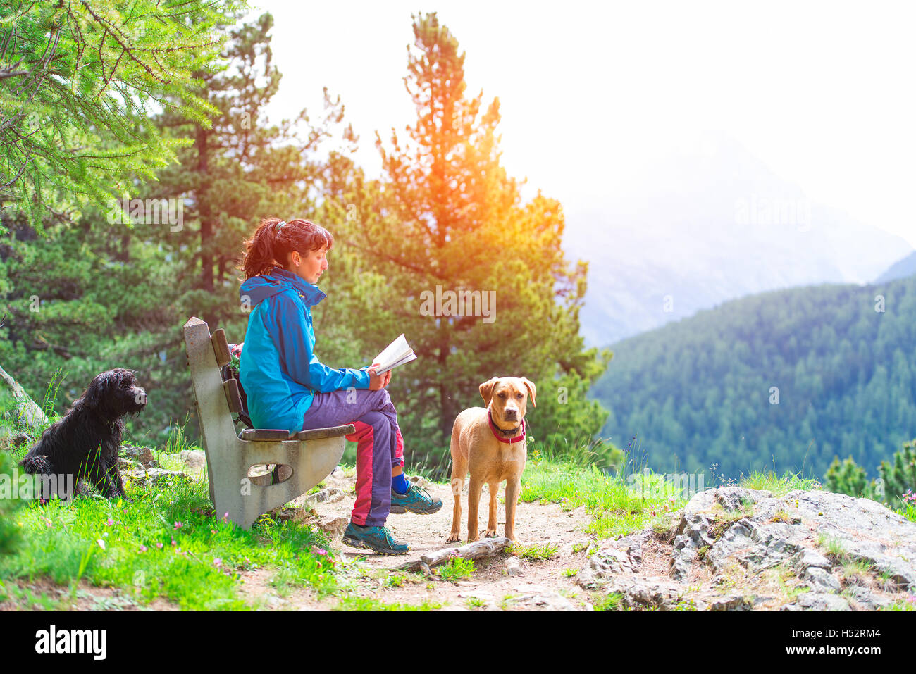 Ragazza legge un libro su una panchina in montagna in compagnia di due cani in estate Foto Stock