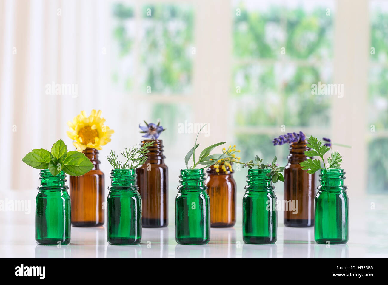 Bottiglia di olio essenziale selettivo con erbe e piante medicinali Foto Stock