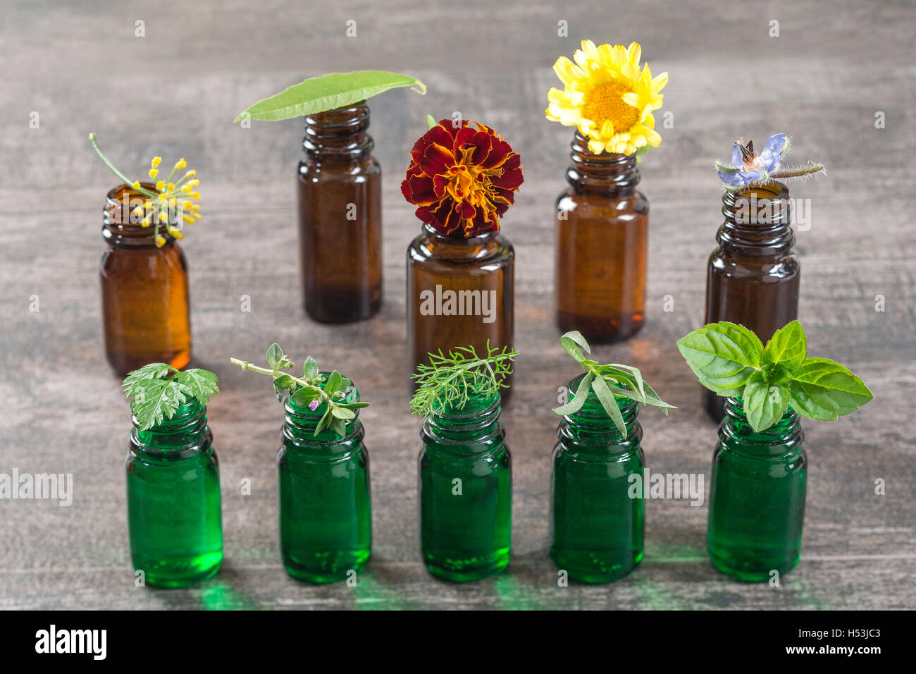 Bottiglia di olio essenziale selettivo con erbe e piante medicinali Foto Stock