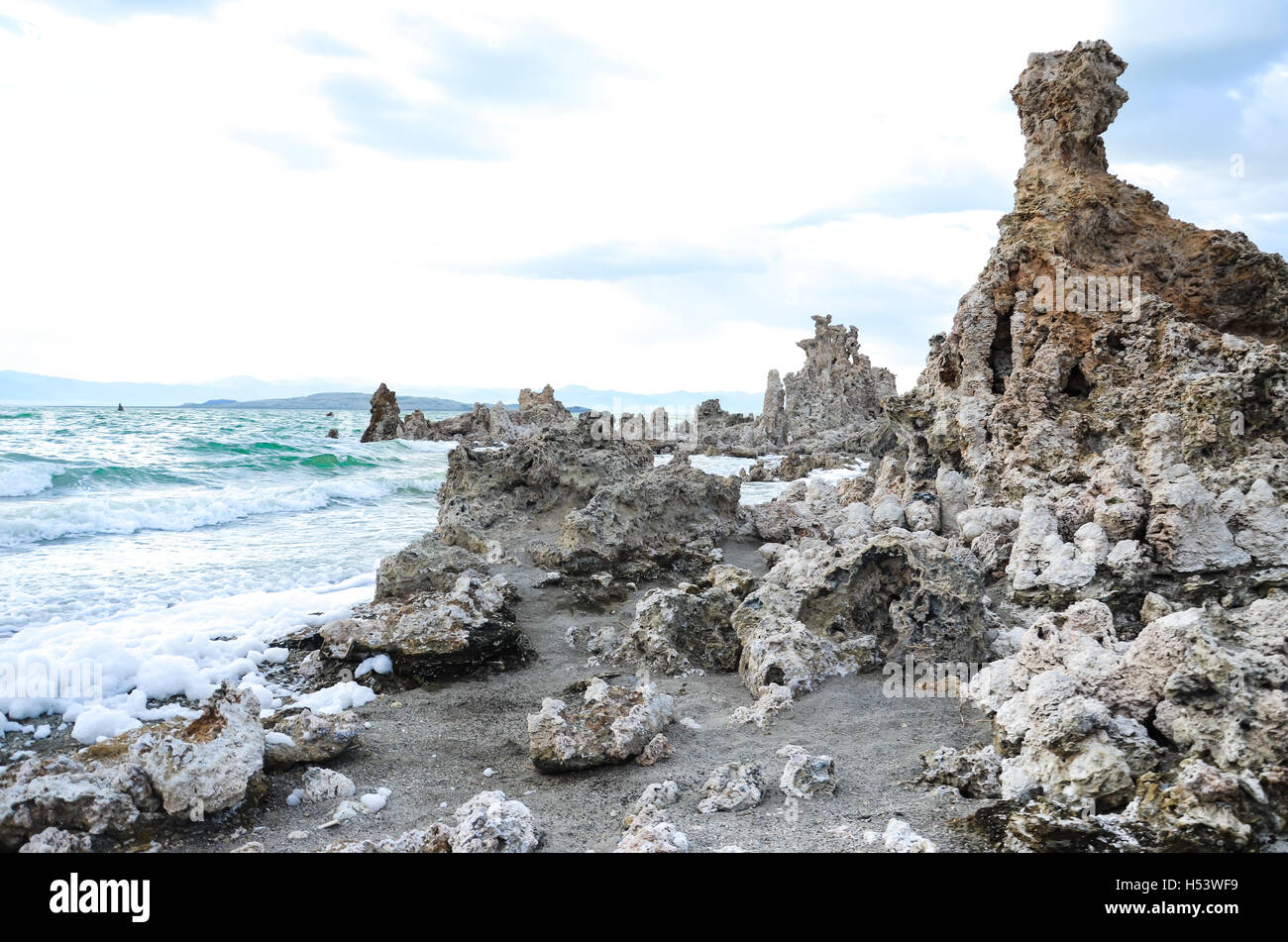 Forme d'onda colpendo la riva: Lago Mono in California Foto Stock
