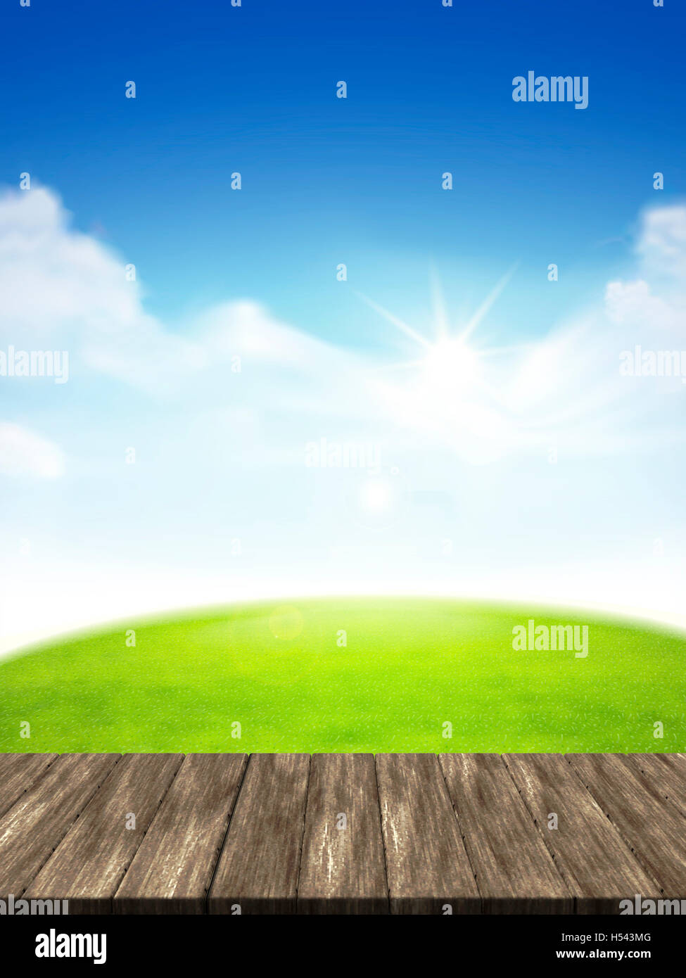 Cielo blu e campo di erba verde, sfondo, rendering 3d piastra di legno Foto Stock