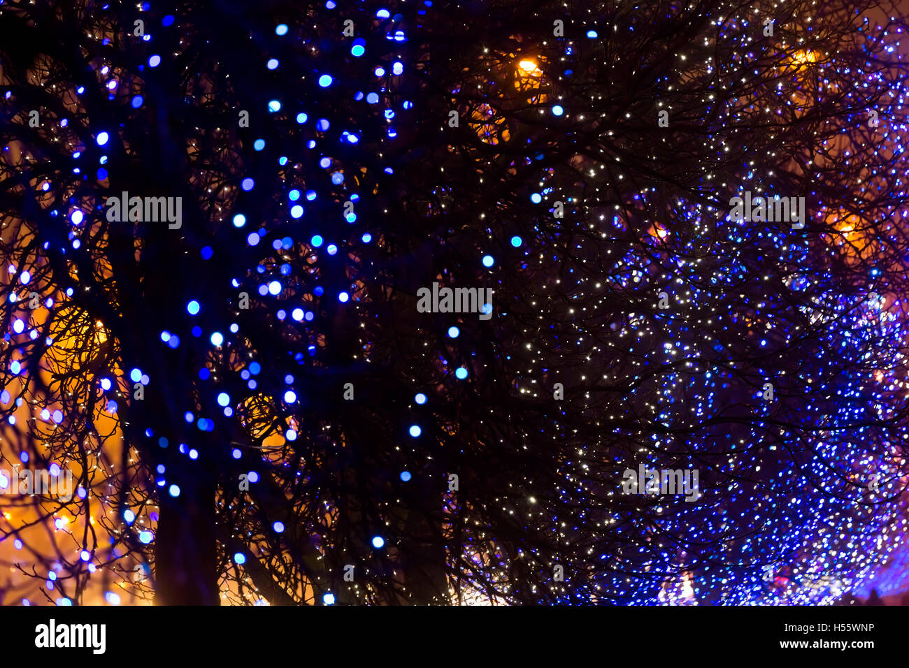 Strada notte alberi decorate con luci di Natale ghirlande Foto Stock