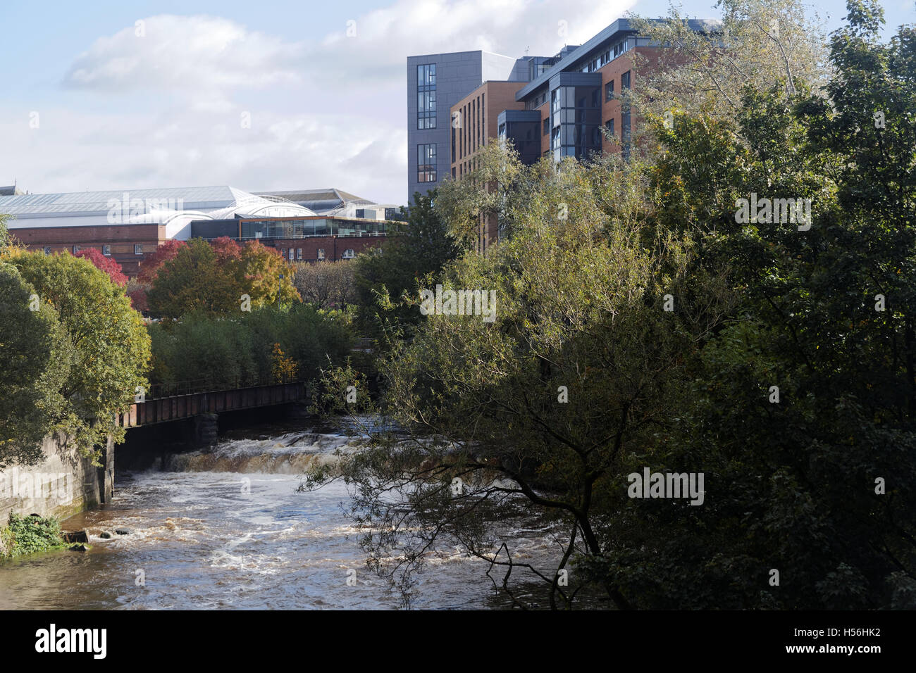 Kelvin River a Partick Glasgow guardando a Nord Foto Stock
