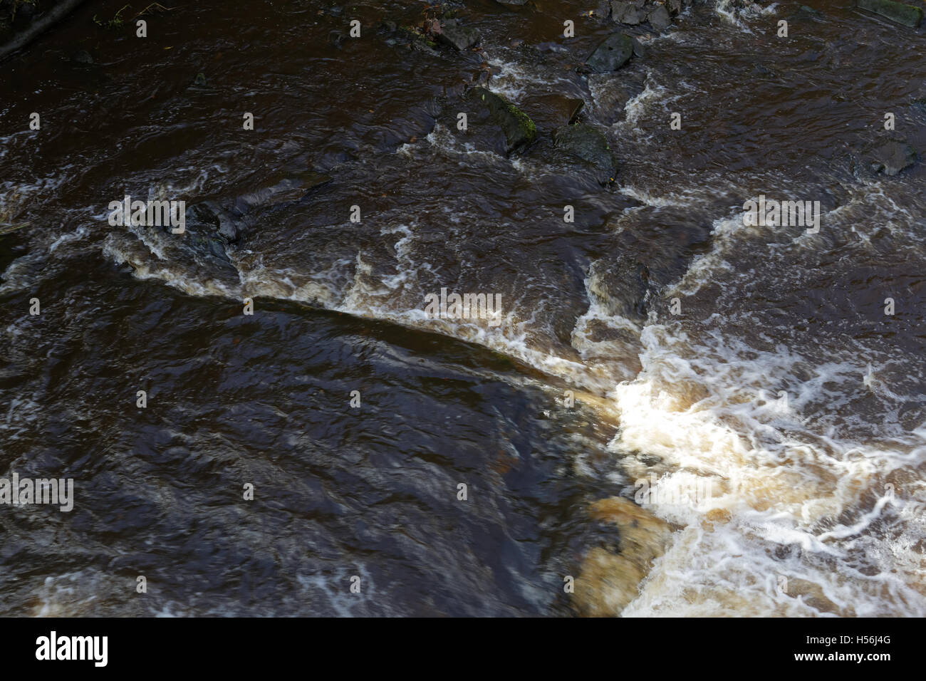 Kelvin River in Glasgow Foto Stock