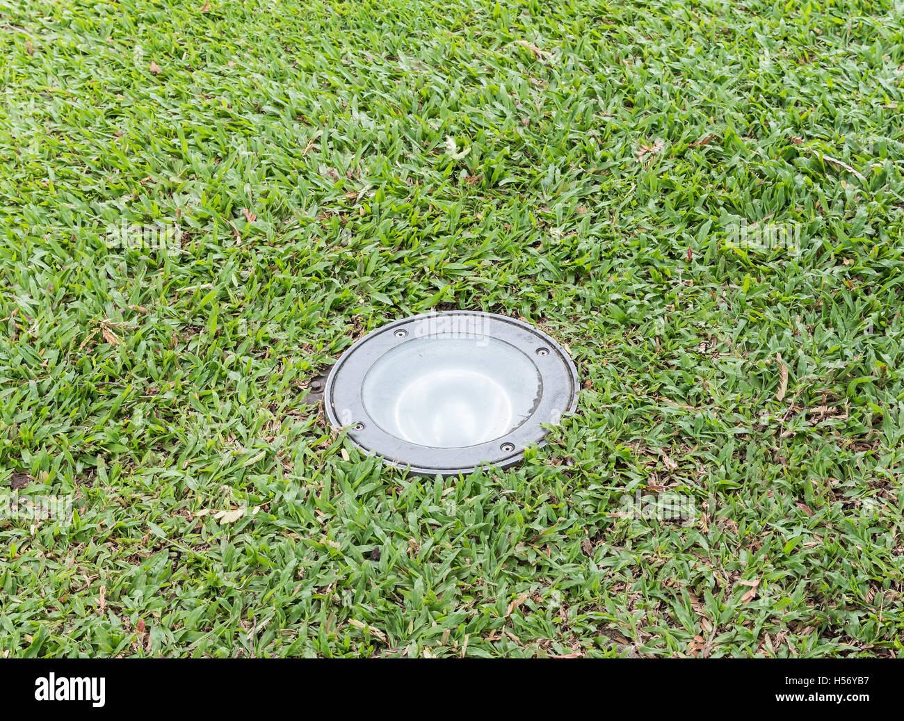 Vecchio globo di vetro per la lampadina elettrica sotto il prato. Foto Stock