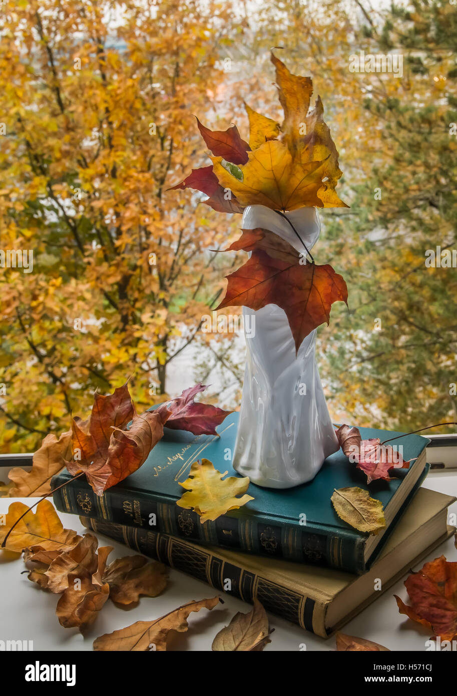 Still-life con un vaso, foglie di autunno vicino alla finestra aperta Foto Stock