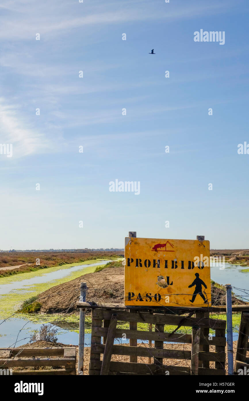 Nessuna voce segno, Baia di Cadice, con marismas e saline, Andalusia, Spagna. Foto Stock