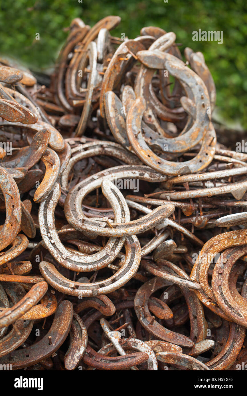 Ferro di cavallo. Pila di usato usurati ferri di cavallo in metallo. Al di fuori di un fabbro maniscalchi locali. Leicestershire. In Inghilterra. Regno Unito. Foto Stock