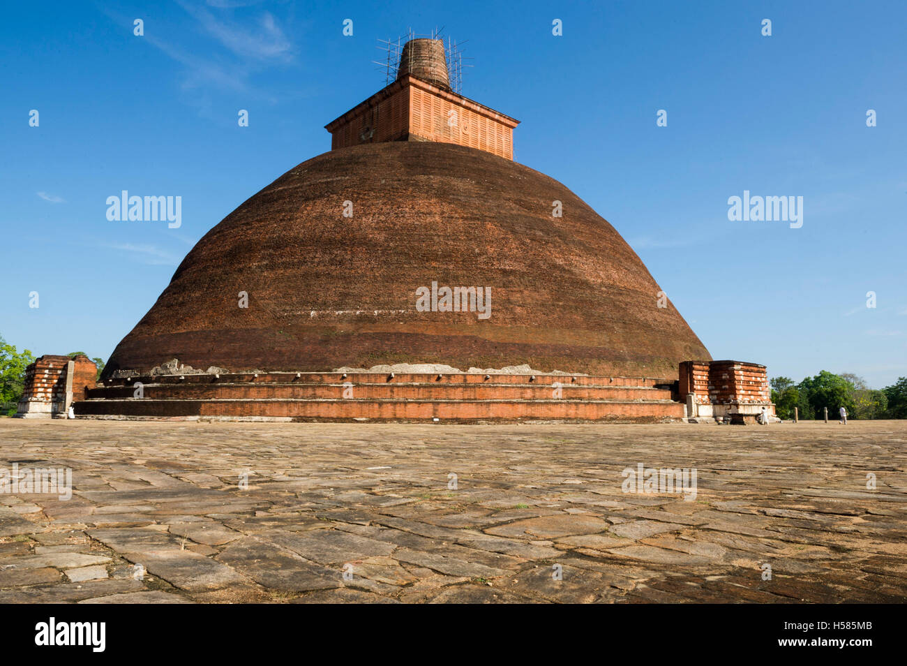 Jetavanaramaya, stupa situato nelle rovine di Jetavana nella sacra città del patrimonio mondiale Anuradhapura, Sri Lanka Foto Stock