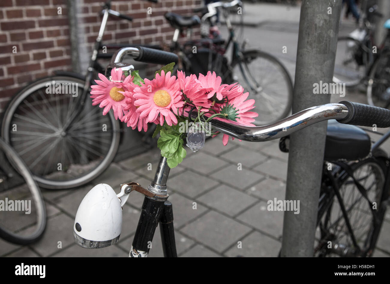Fiori in bici in Amsterdam Foto Stock