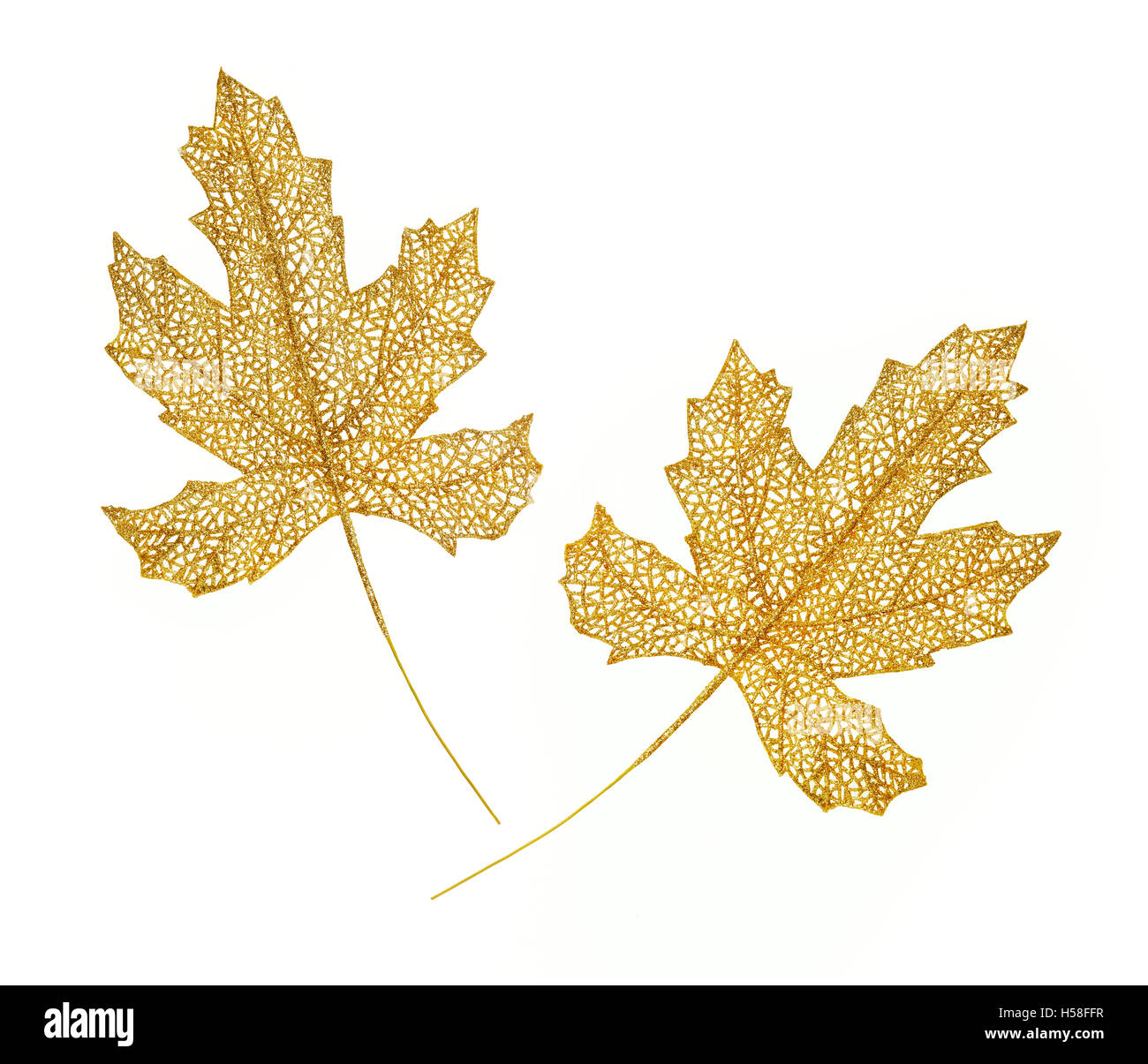 Due golden foglie frizzante contro uno sfondo bianco. Motivo di natale. Foto Stock