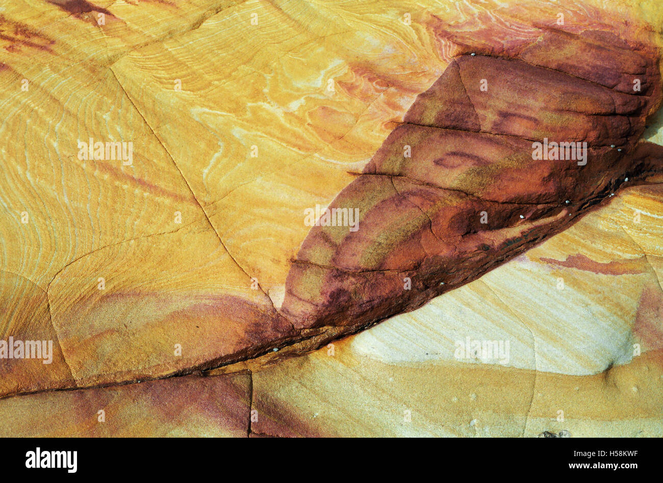 Abstract di motivi e colori in rocce sedimentarie roccia arenaria, Avoca Beach, Central Coast, Nuovo Galles del Sud, Australia Foto Stock