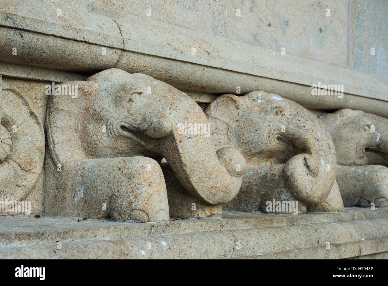 Sculture di elefante, Ruwanwelisaya Stupa, Anuradhapura, Sri Lanka Foto Stock