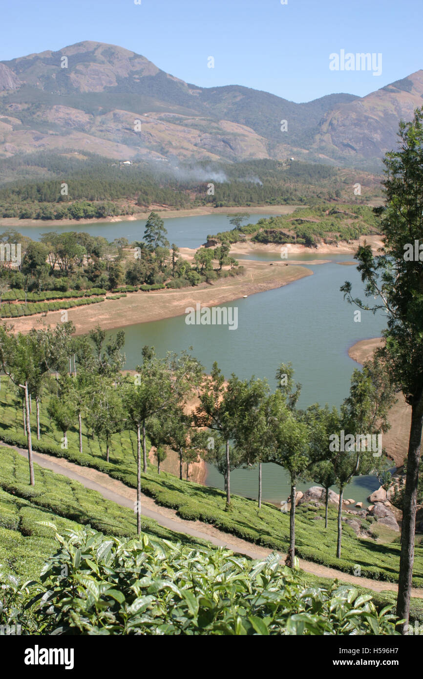 Un lago in colline di cardamomo in Munnar distretto di Kerala, nell India meridionale. La foresta e le piantagioni di tè coprono le colline Foto Stock