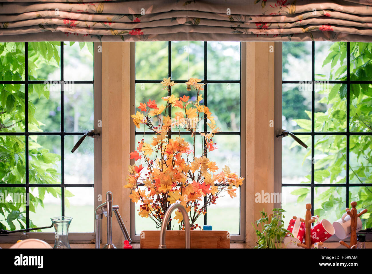 Una disposizione di Acer rami e foglie su un cottage finestra della cucina Foto Stock