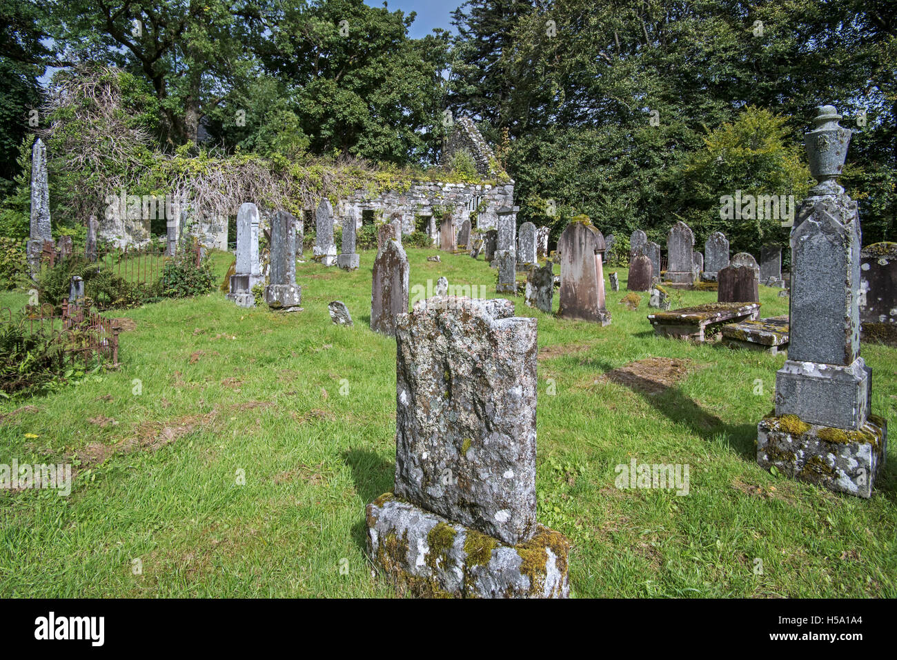 Weathered lapidi del Lochcarron vecchio cimitero, Wester Ross, Scozia Foto Stock