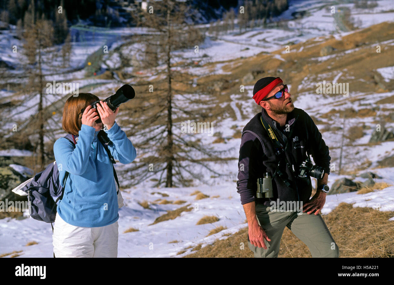 Natura fotografi di Valsavarenche Parco Nazionale del Gran Paradiso, Valle d'Aosta, Italia Foto Stock