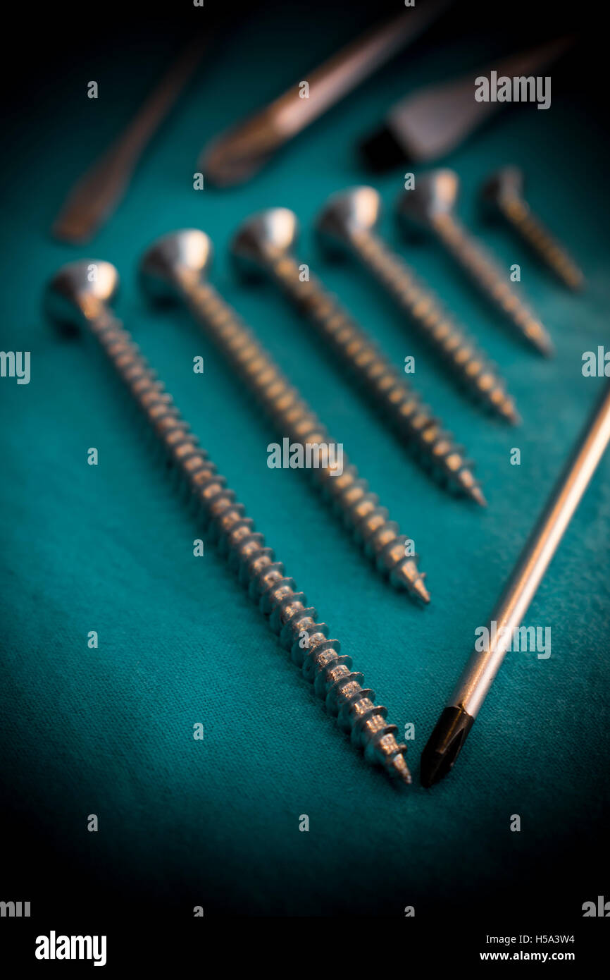 Diversi tipi di viti e cacciaviti rivestite sul drappeggio con sfondo scuro Foto Stock