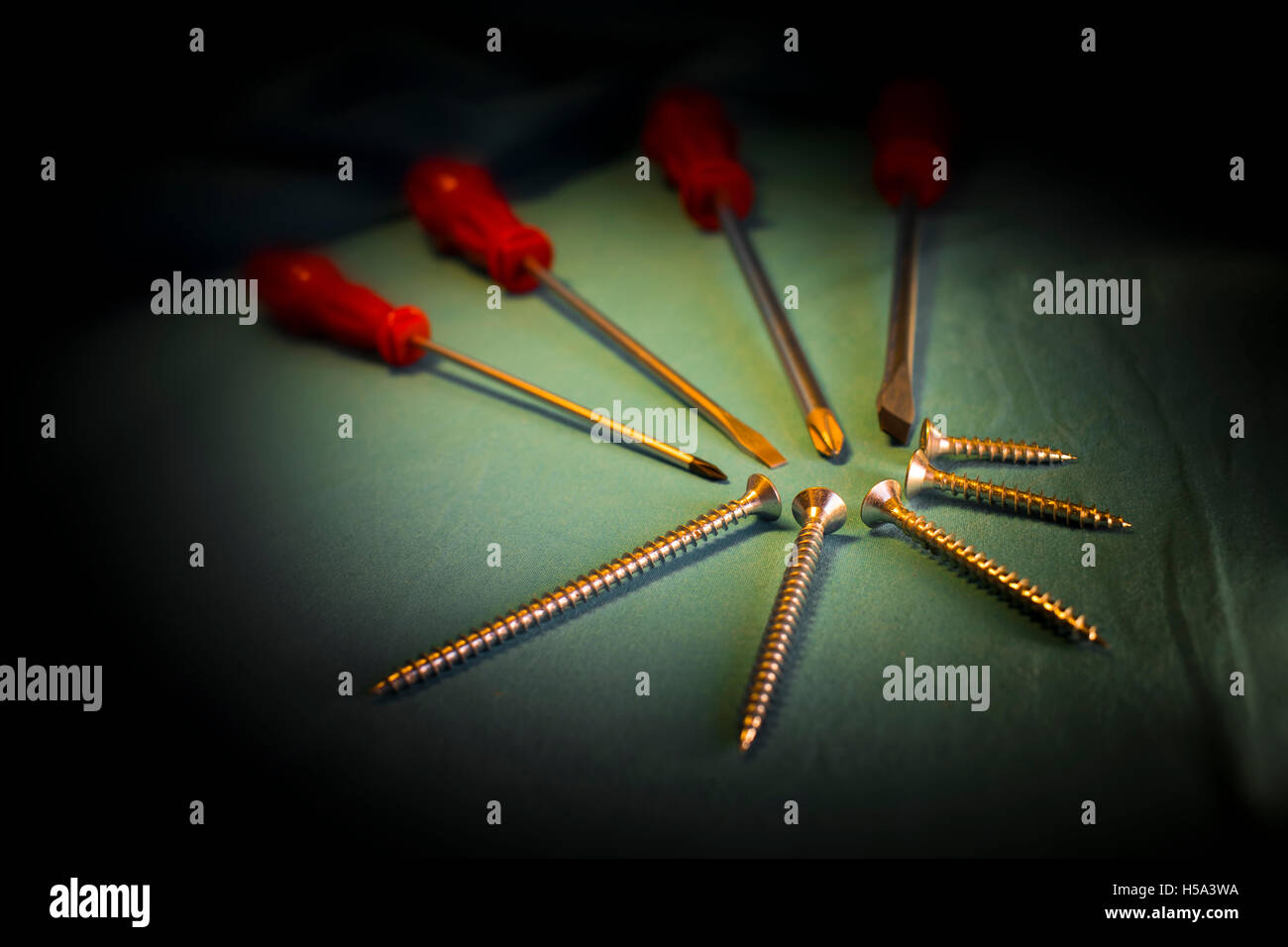 Diversi tipi di viti e cacciaviti rivestite sul drappeggio con sfondo scuro Foto Stock