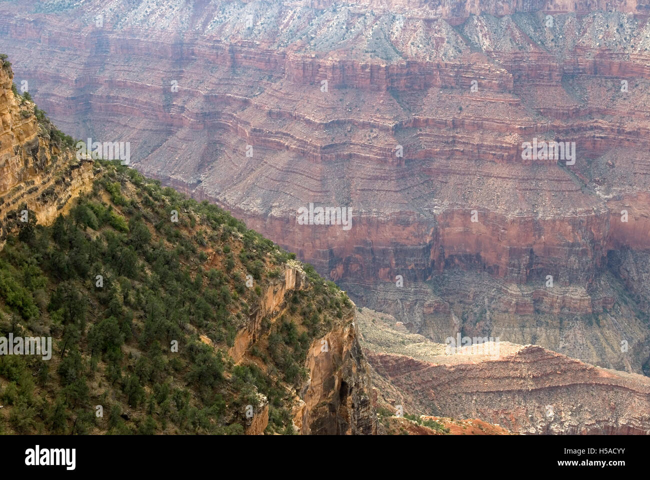 Parco Nazionale del Grand Canyon Arizona USA Foto Stock