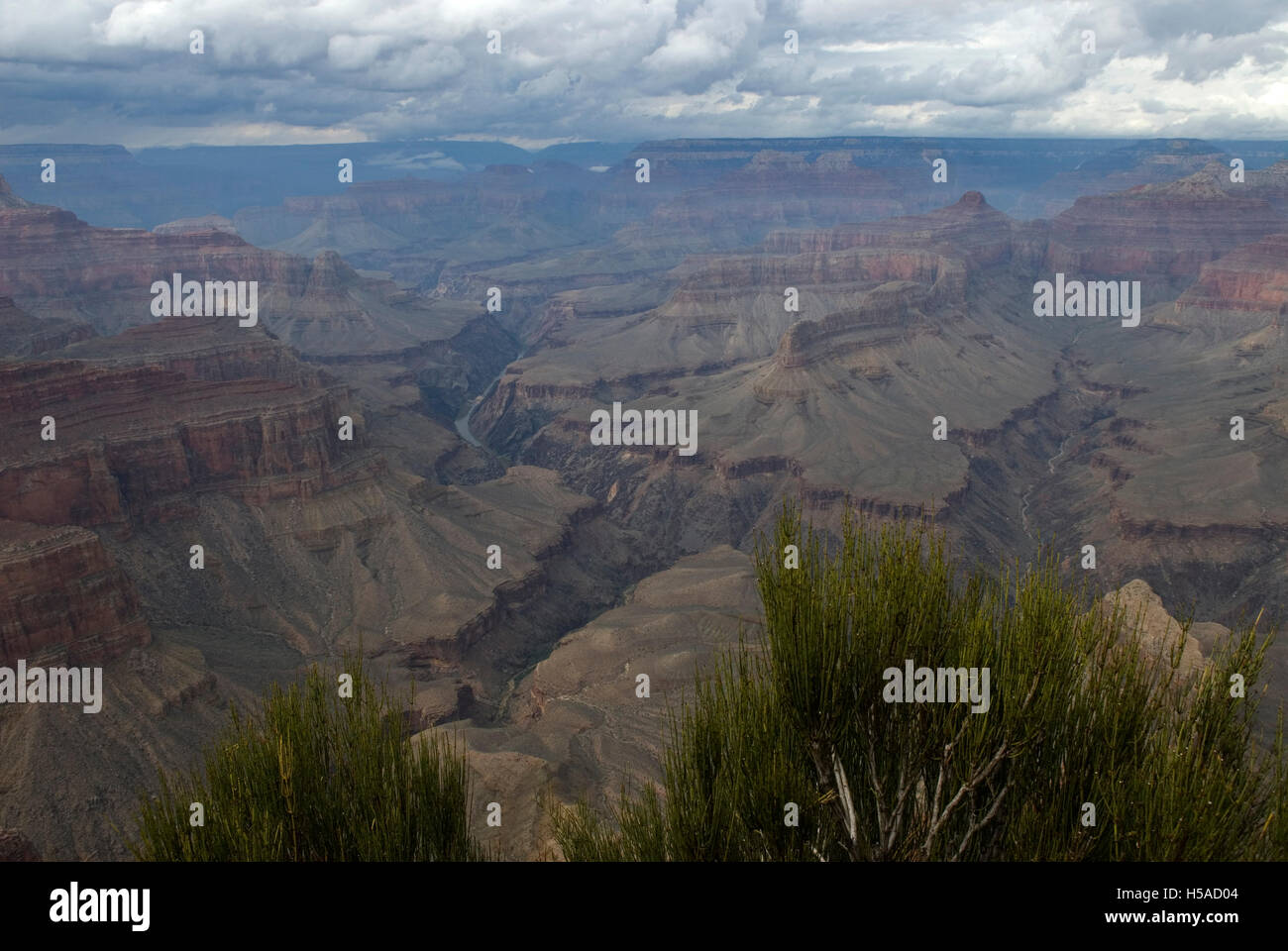 Parco Nazionale del Grand Canyon Arizona USA Foto Stock