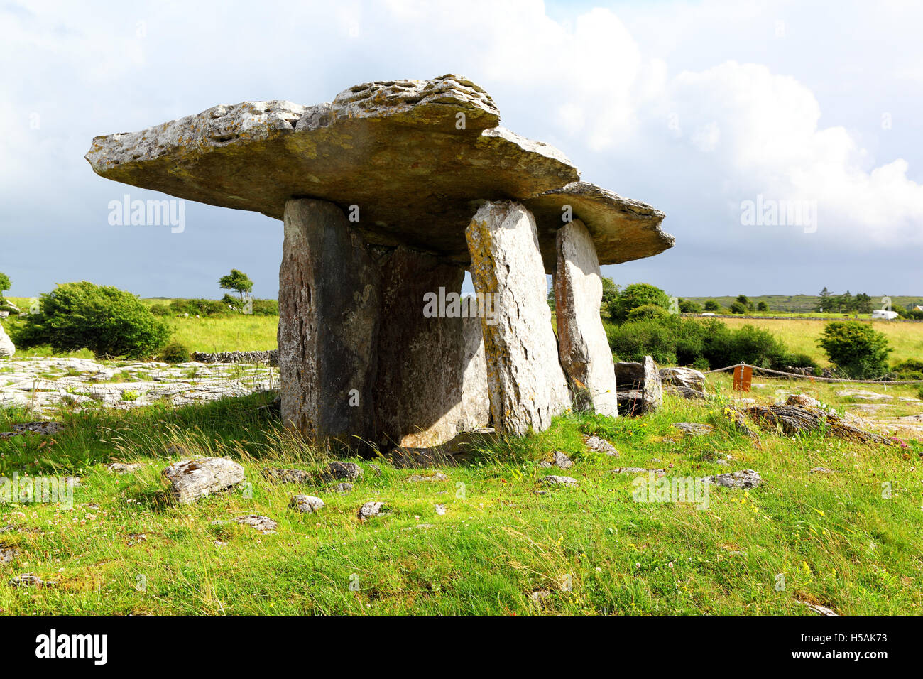 Portale Poulnabrone tomba, Irlanda Foto Stock