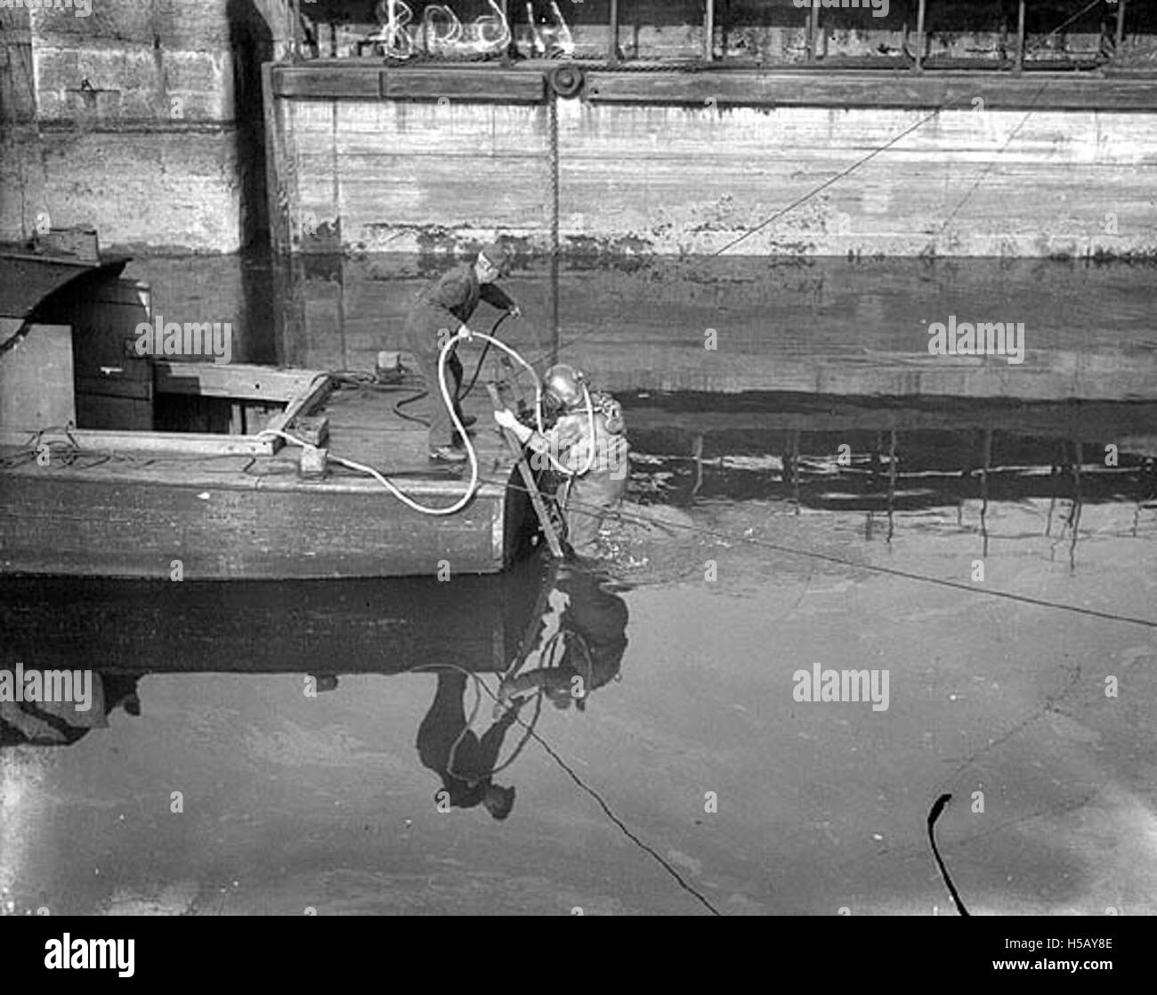 Immagine che raffigura una persona o un animale che si avvicina all'aria, simboleggia un momento di sollievo o di recupero in un ambiente naturale. Foto Stock