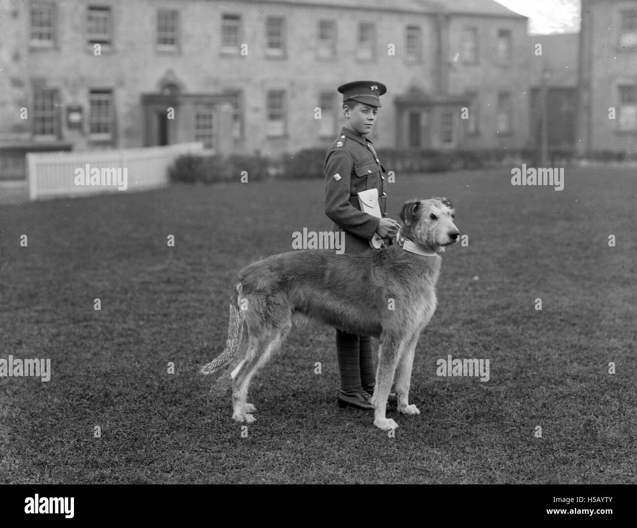 La mascotte delle guardie irlandesi, nota come Leitrim Boy, era una figura iconica del reggimento. La mascotte, una capra, faceva parte delle tradizioni delle guardie irlandesi, simboleggiando l'orgoglio e l'eredità militare all'interno dell'esercito britannico. Foto Stock